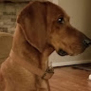 Meet your Posher, Jeffrey